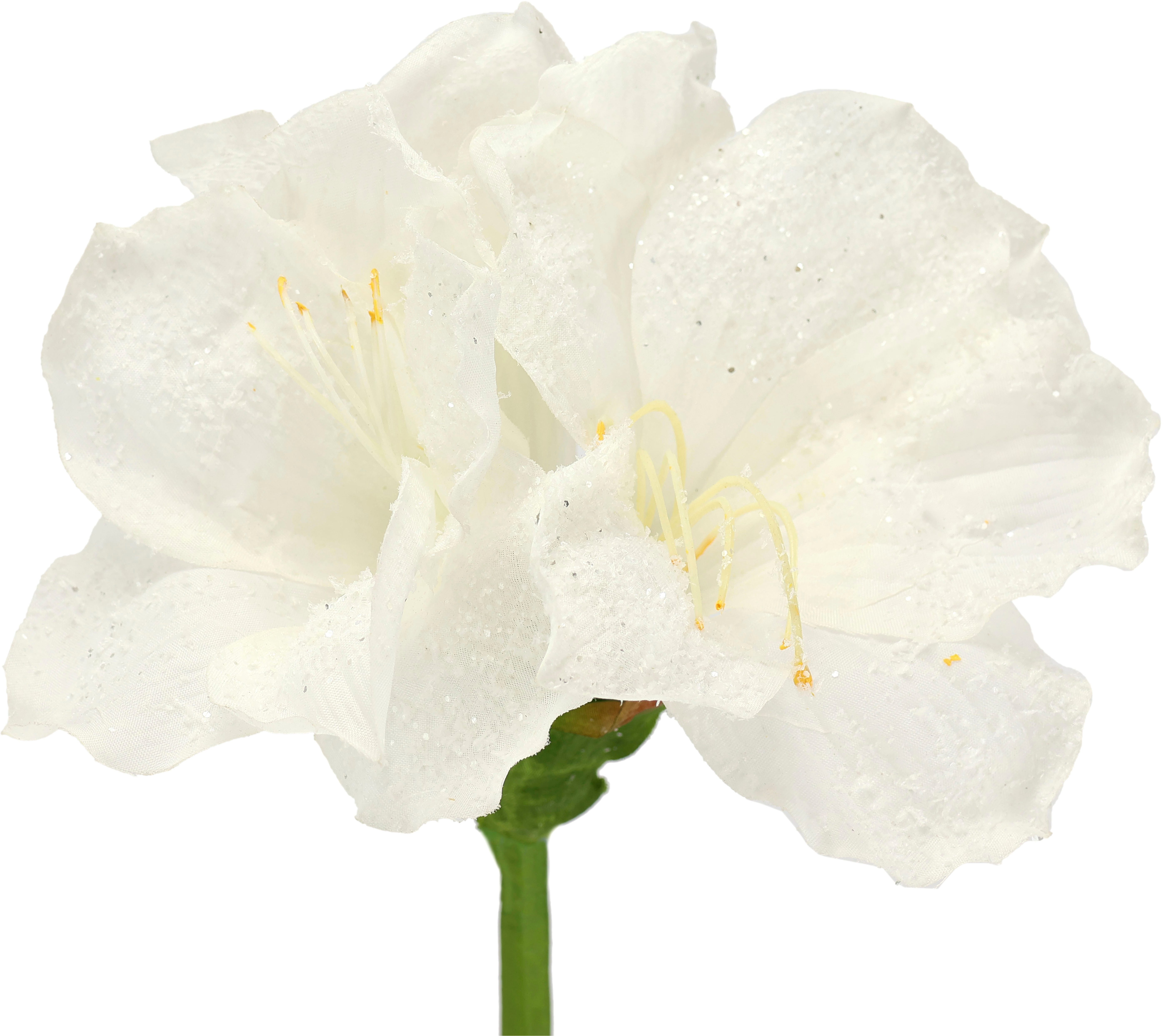 I.GE.A. Kunstblume "Amaryllis 2er Set", 60cm Blumen Zweig Dekozweig Weihnac günstig online kaufen