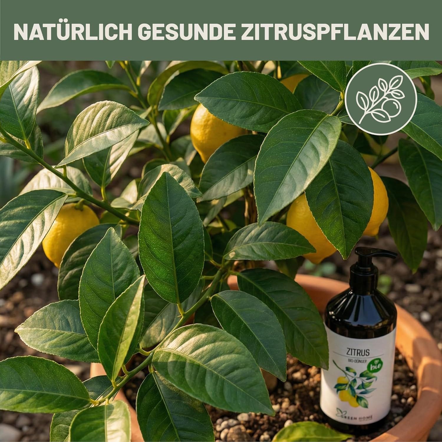 GREEN HOME LOVE NATURE Obstdünger Bio-Dünger flüssig NPK 3+2+6 für Zitrus & Zitronenbäume, Zitrus, 100 % bio, organisch-mineralisch, extra Kalium, Dosierpumpe