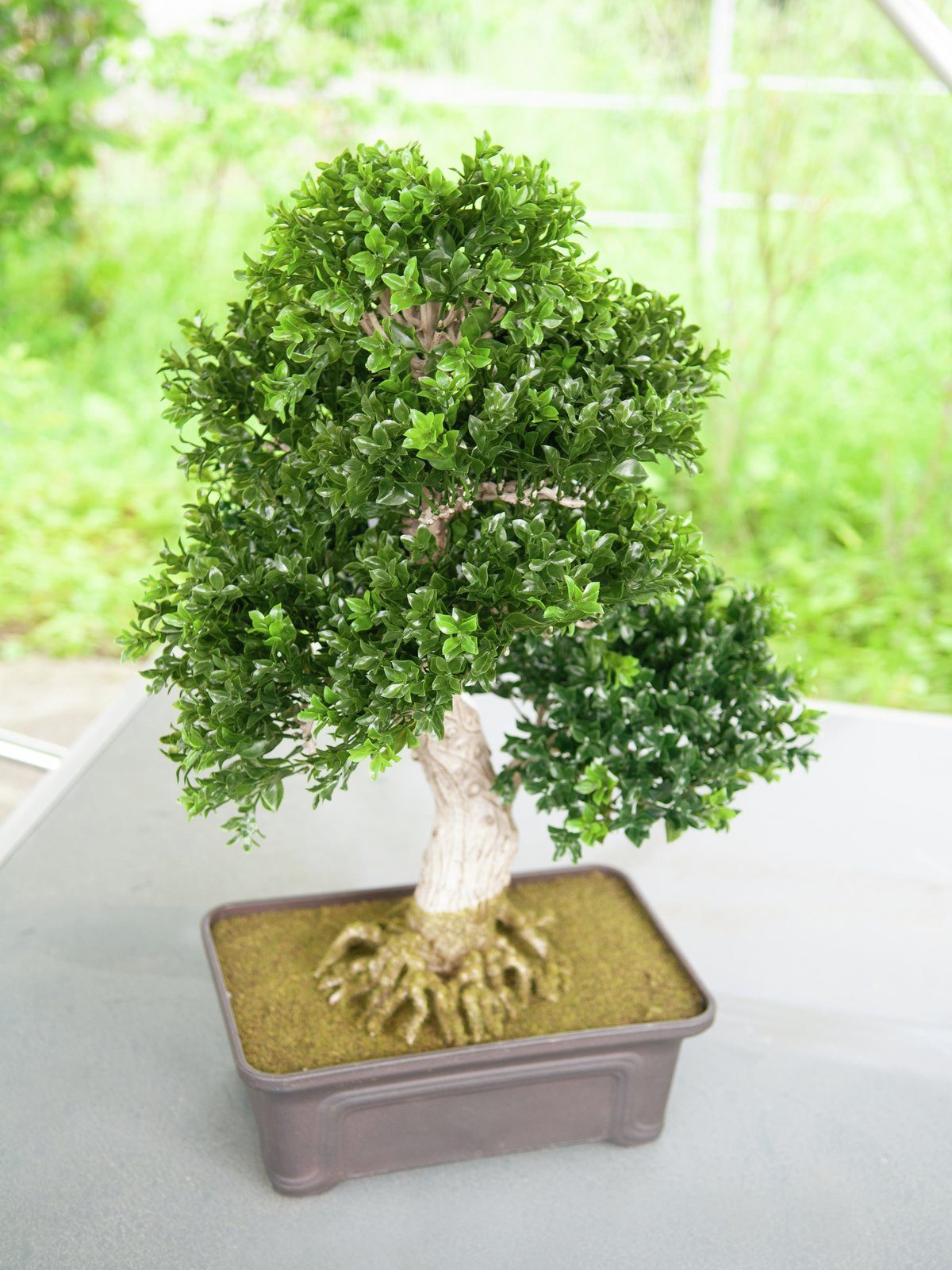 Kunstbaum EUROPALMS Buchsbonsai, Kunstpflanze, 61 cm, günstig online kaufen