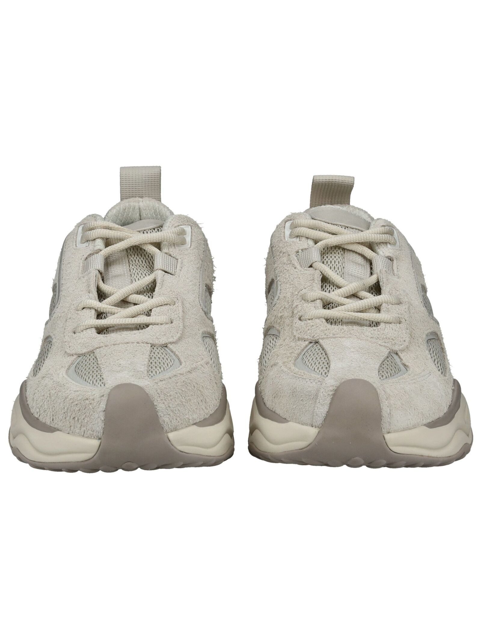 STEVE MADDEN STEVE MADDEN Sneaker Leder Sneaker