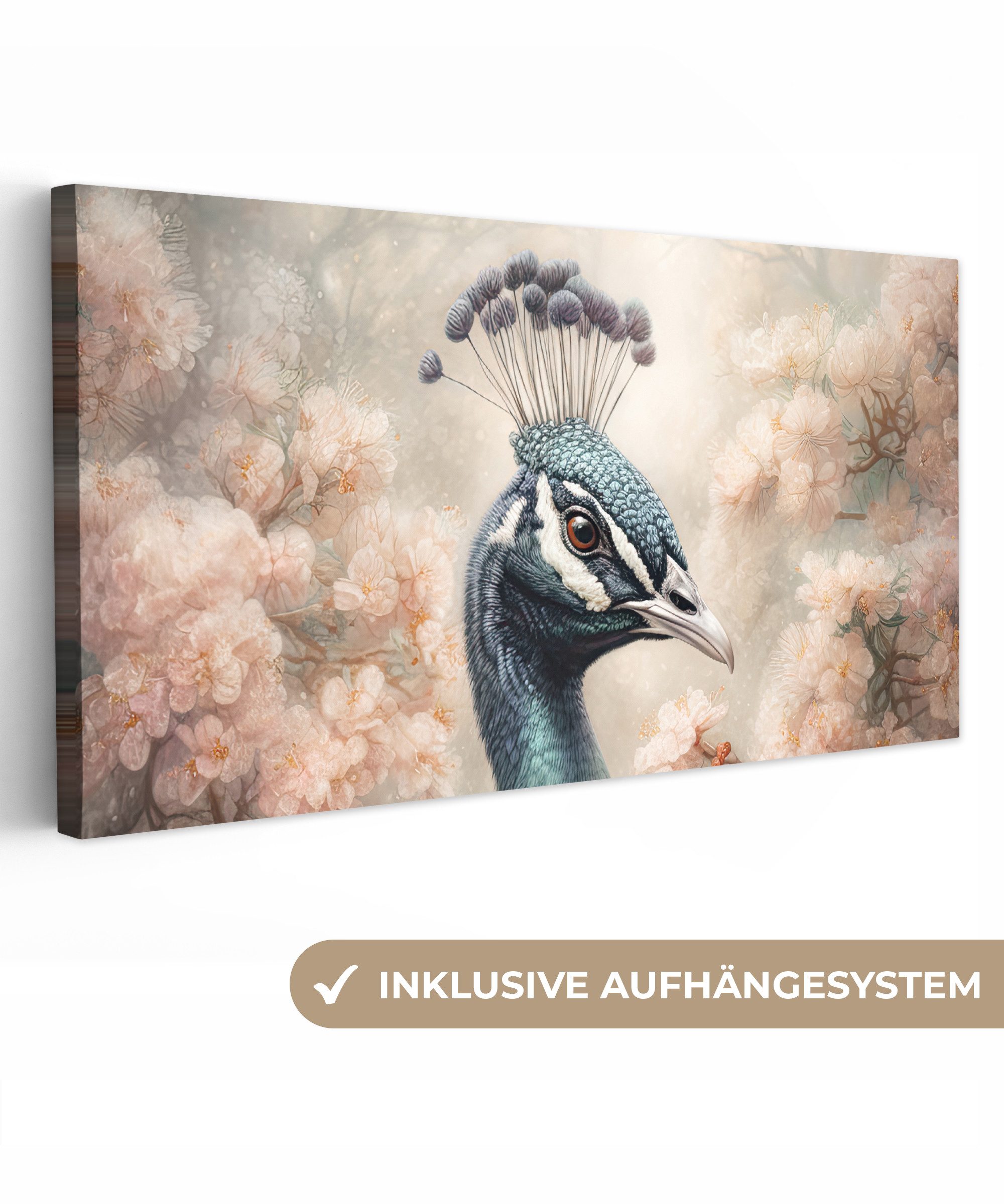 OneMillionCanvasses® Leinwandbild Panorama Pfau - Vögel günstig online kaufen
