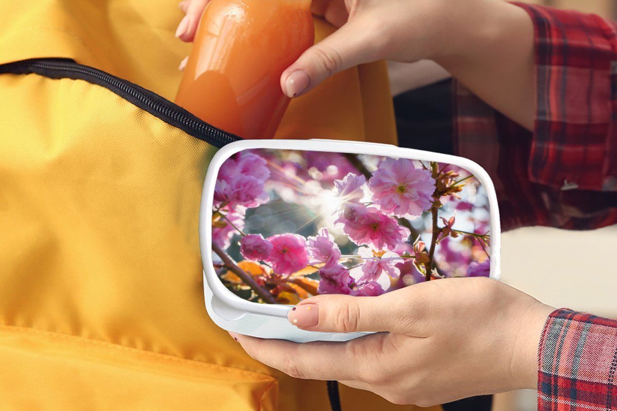 MuchoWow Lunchbox Sakura - Kunststoff, weiß und für Sonne Frühling, für - Jungs Erwachsene, (2-tlg), Brotbox Kinder Mädchen Brotdose, und