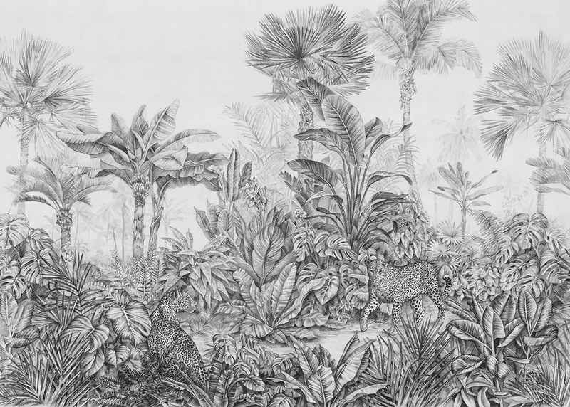 Komar Fototapete Léopards, glatt, Motiv, botanisch, tropisch, (Packung, 1 St), 350x250 cm (Breite x Höhe)