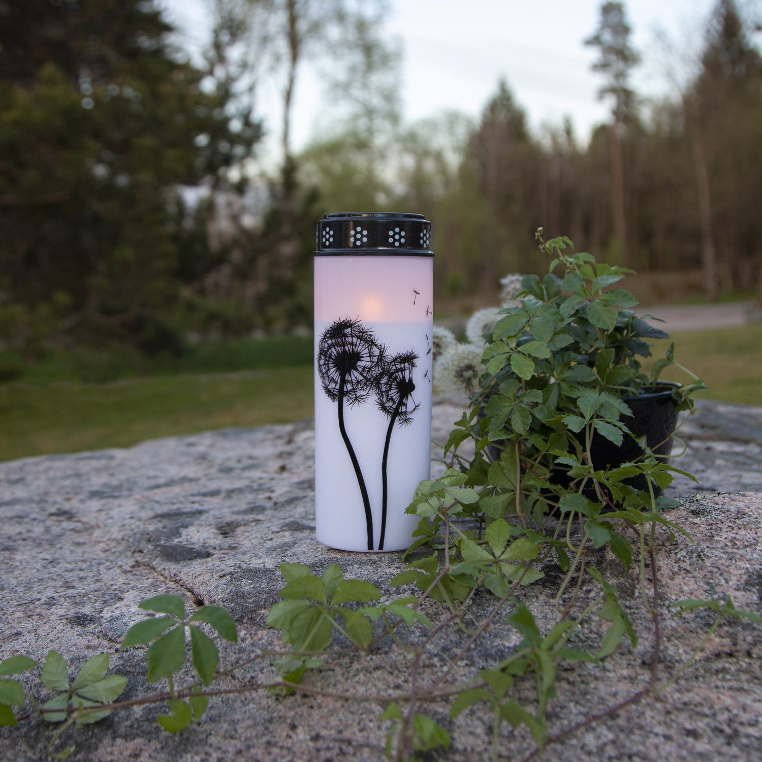 MARELIDA LED-Kerze LED Grablicht Grabkerze Pusteblume H: 21cm Timer weiß/sc günstig online kaufen