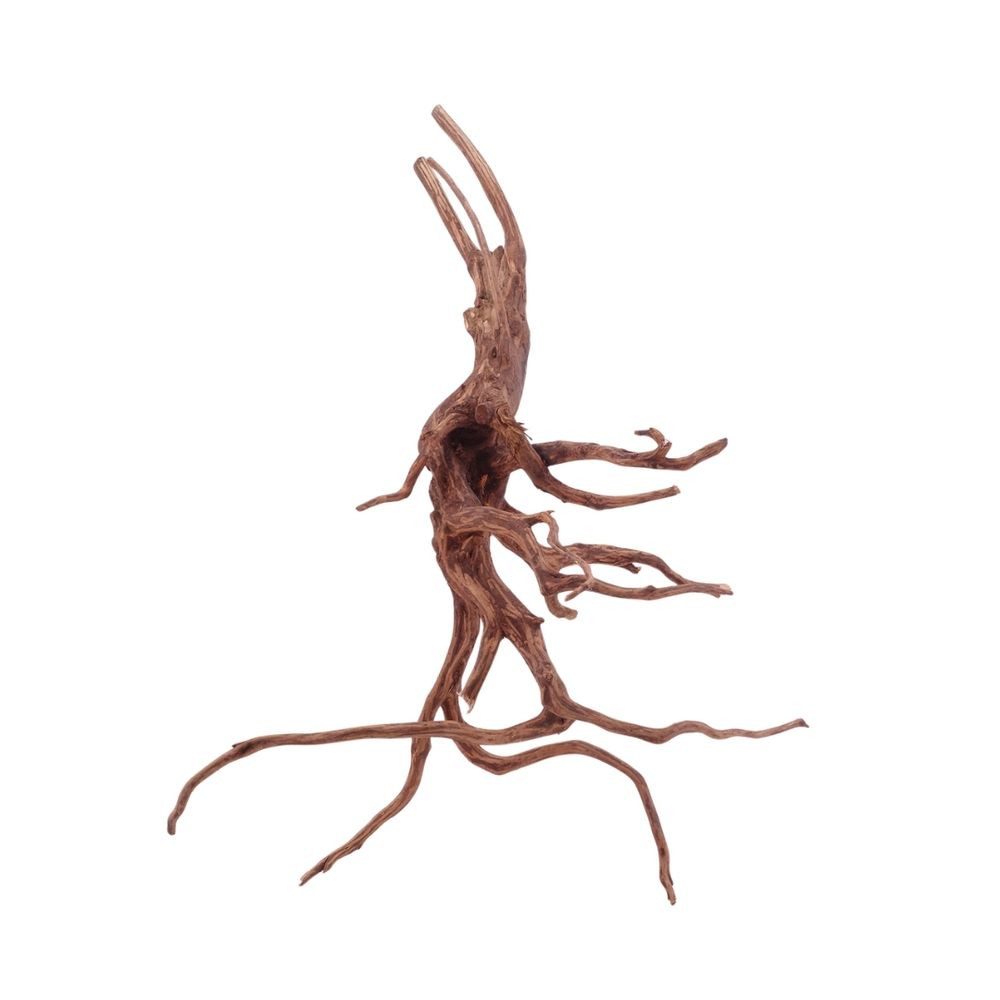 Aquaone Aquarium XL Red Spider Wurzel Nr.5084 Fingerwurzel Echtholz Deko Aquascaping
