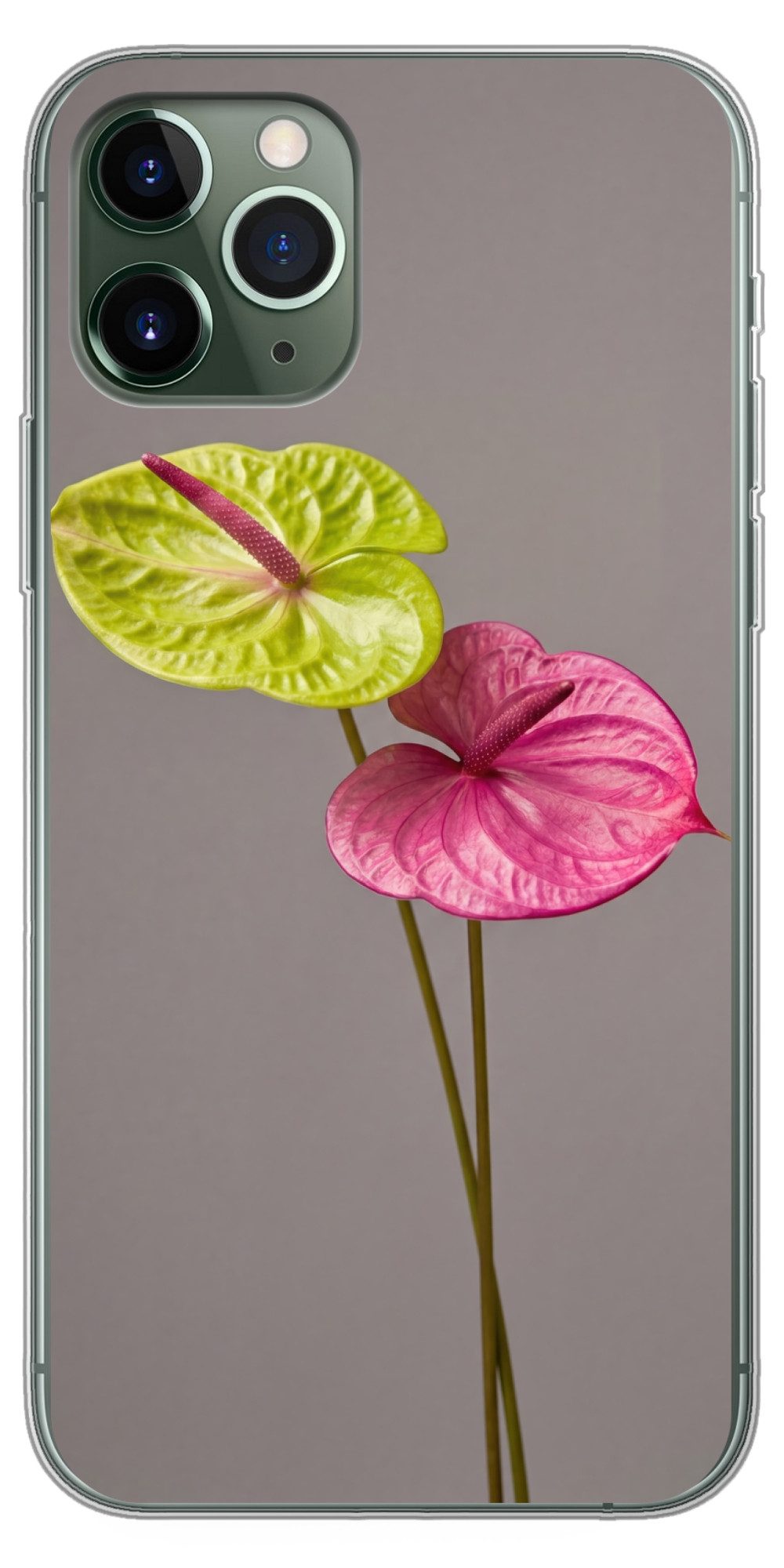 MuchoWow Handyhülle für Apple iPhone 11 Pro Pflanzen - Anthurium - Grün - Rosa, Smartphone-Bumper, Print, Handy Schutzhülle Dünn