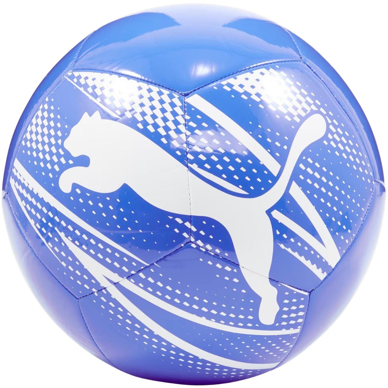 PUMA Fußball Puma Attacanto