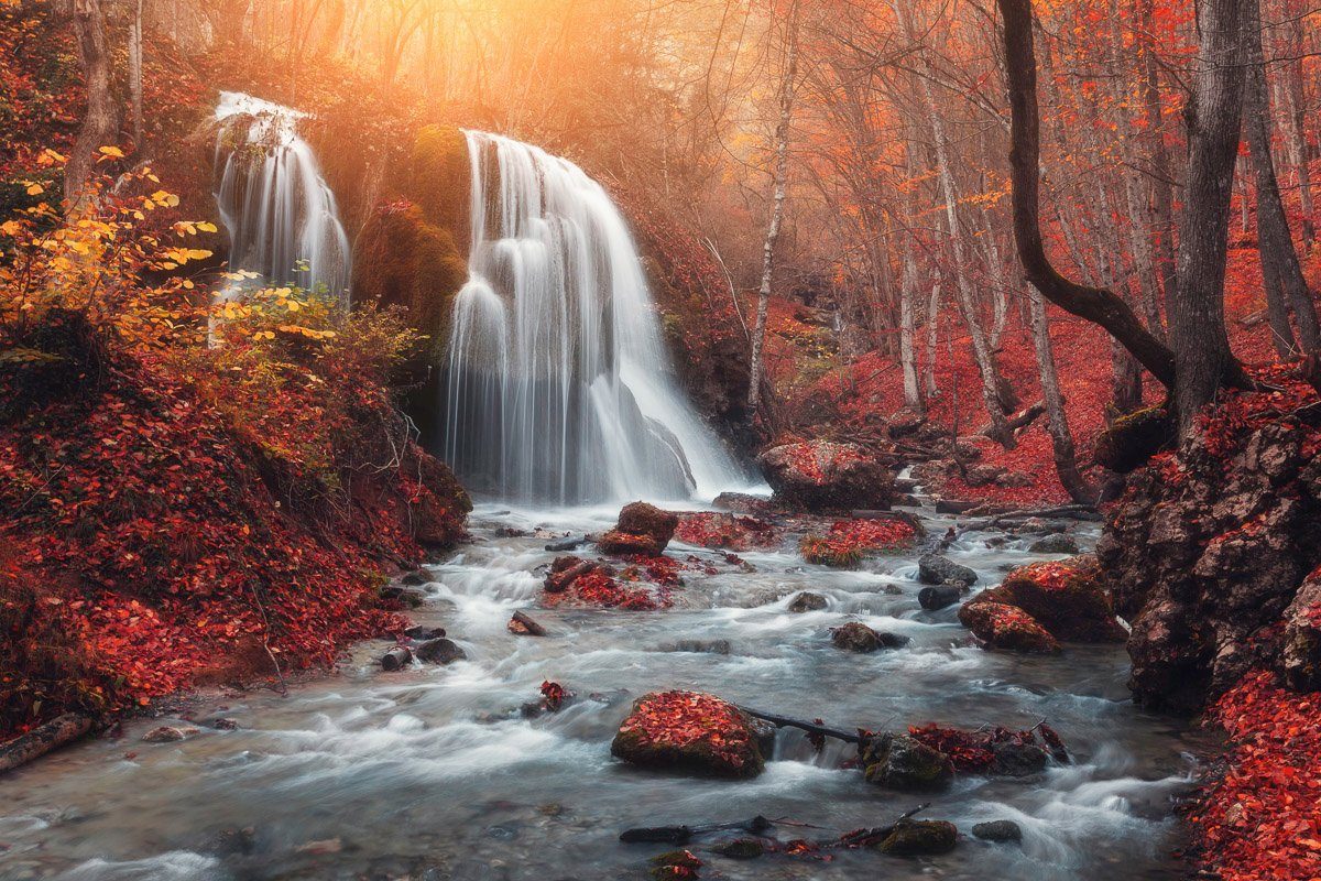 Fototapete Wald Wasserfall Papermoon im