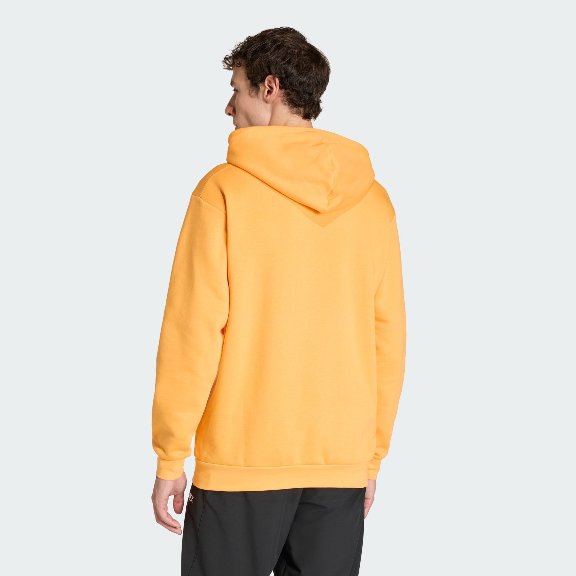 adidas TERREX Hoodie TERREX MULTI LARGE LOGO HOODIE (1-tlg)