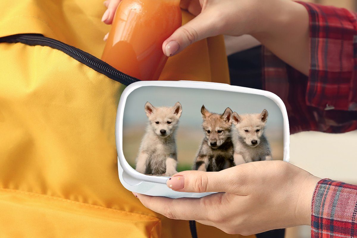 Lunchbox für Holz, Mädchen - Kunststoff, und Erwachsene, Kind MuchoWow Kinder und weiß Brotbox Brotdose, für (2-tlg), - Jungs Wolf