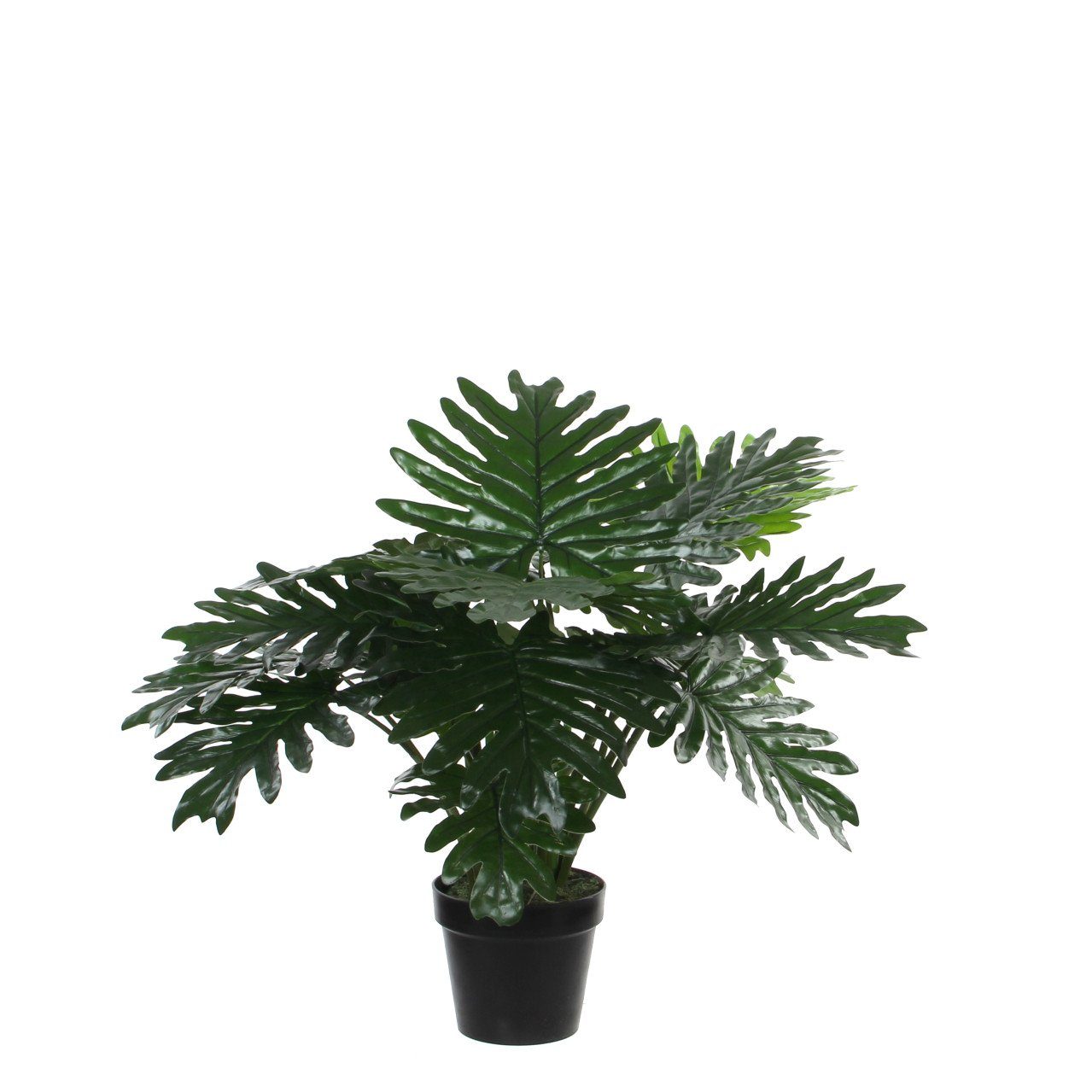 Kunstpflanze Mica Kunstpflanze Philodendron im Topf 60 x 80 cm
