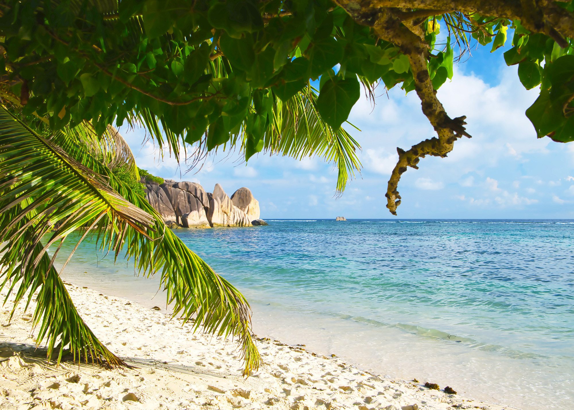 Rasch Fototapete Strand Insel Paradies - 2,65m x 3,71m, glatt, Meer, Natur, tropisch, Strand, Landschaft, (1 Rolle, 1 St), Landschaft