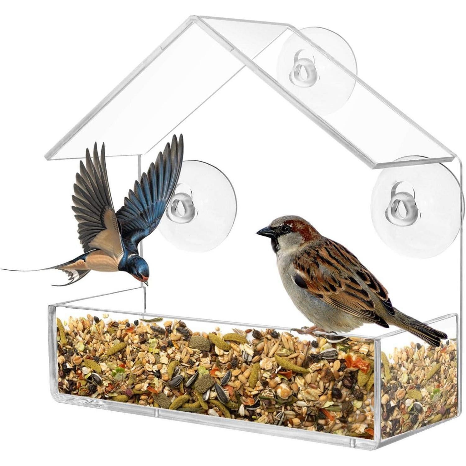 LuxusKollektion Futterhaus Transparentes Vogelfutterhaus mit Saugnäpfen für Wildvögel 15x15x6cm
