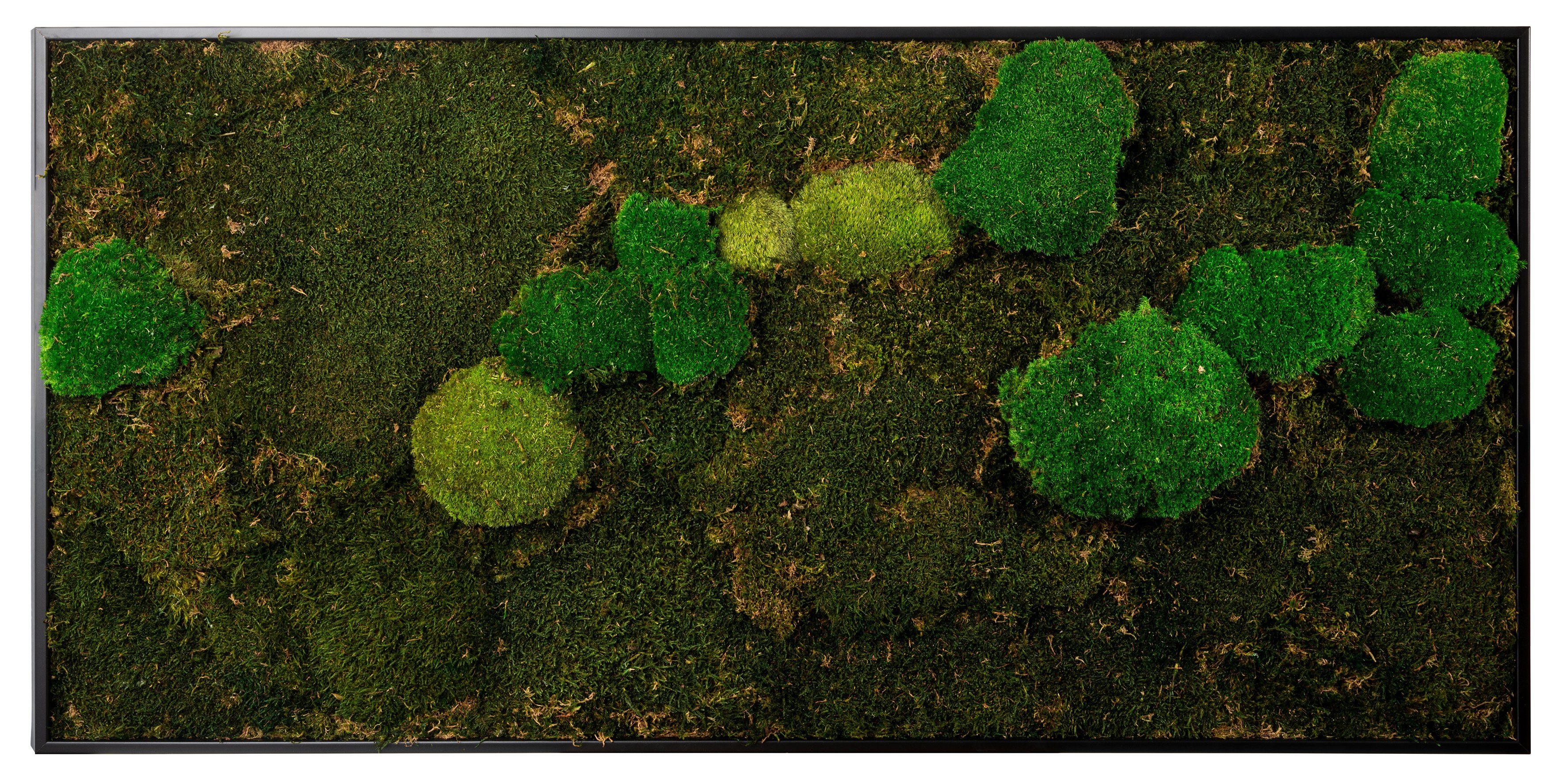 Bönninghoff Bild mit Rahmen Mixmoos, Natur (1 St), jedes Bild ein Unikat, BxH: 120x60 cm