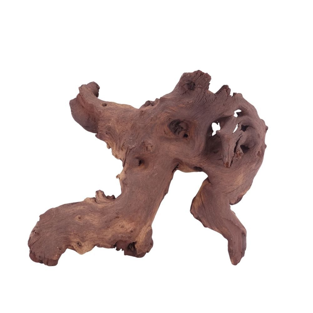 Aquaone Aquarium XL Mopani Wurzel Nr.4655 Holz Deko Aquascaping