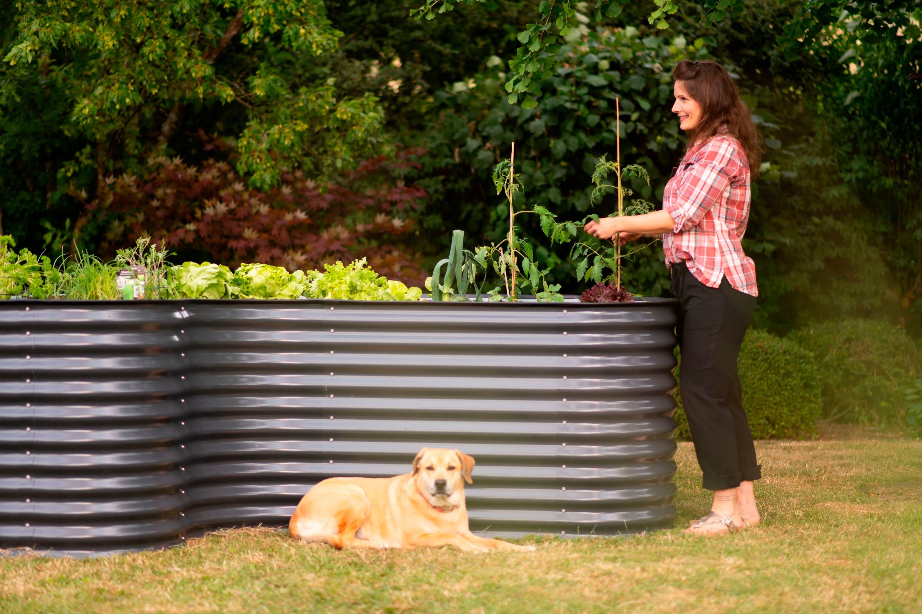 WESTMANN Hochbeet Grow Faster, BxTxH: 240x160x82 cm