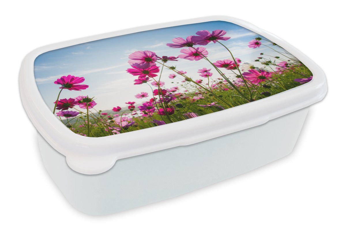 und Mädchen Brotbox und MuchoWow - weiß Brotdose, für Blumen Cosmea, Erwachsene, Kinder Lunchbox für Kunststoff, - (2-tlg), Rosa Jungs