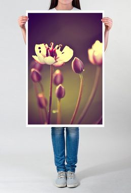 Sinus Art Poster 90x60cm Poster Naturfotografie Vintage Blume mit braunem Hintergrund