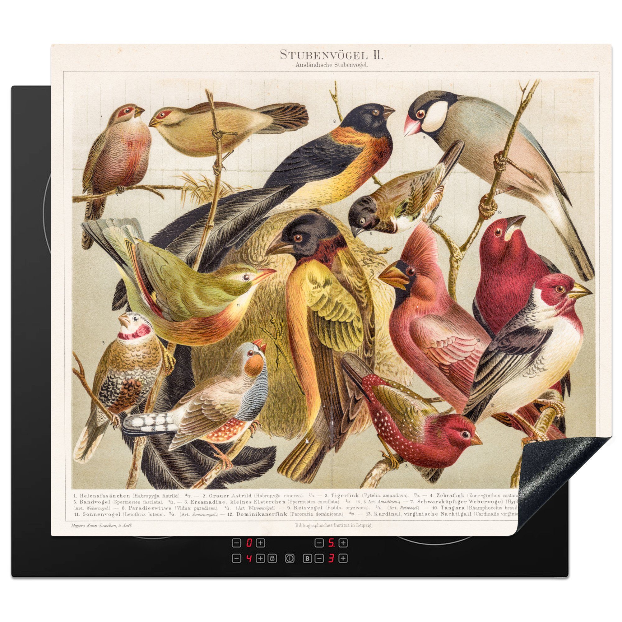 MuchoWow Herdblende-/Abdeckplatte Vogel - Antik - Zeichnung, Vinyl, (1 tlg), 60x52 cm, Mobile Arbeitsfläche nutzbar, Ceranfeldabdeckung