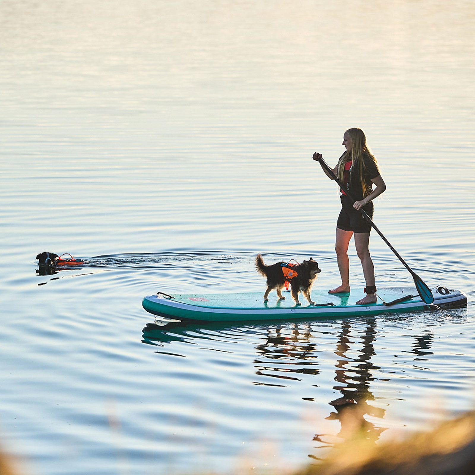 Non-stop dogwear Hundeweste PROTECTOR LIFE JACKET, optimiert Auftrieb, Stabilität und Bewegungsfreiheit