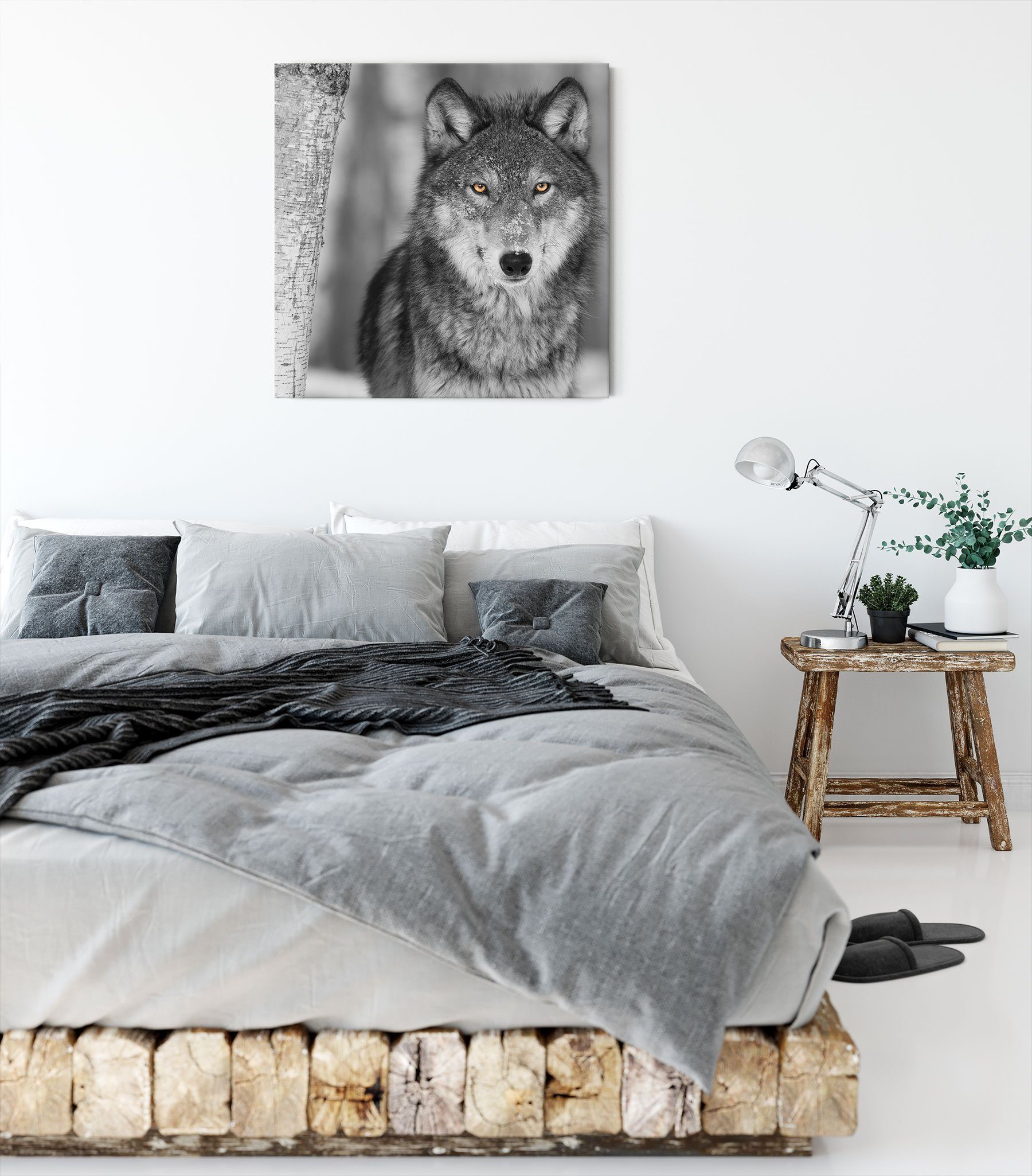 Leinwandbild Pixxprint wachsamer (1 fertig wunderschöner bespannt, Zackenaufhänger wachsamer Wolf, Wolf St), wunderschöner inkl. Leinwandbild