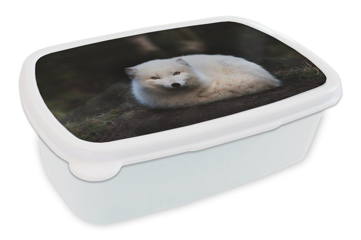 MuchoWow Lunchbox Fuchs - Porträt - Weiß, Kunststoff, (2-tlg), Brotbox für Kinder und Erwachsene, Brotdose, für Jungs und Mädchen