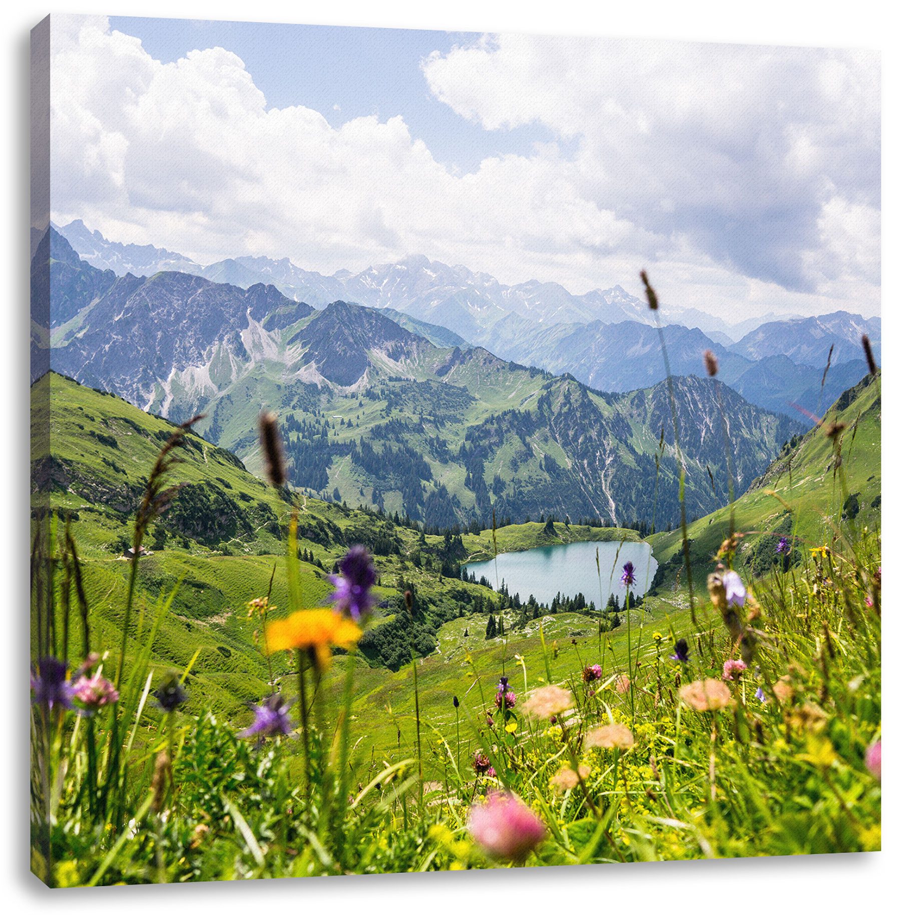 Pixxprint Leinwandbild Wiesenblumen in den Bergen, Wiesenblumen in den Bergen (1 St), Leinwandbild fertig bespannt, inkl. Zackenaufhänger
