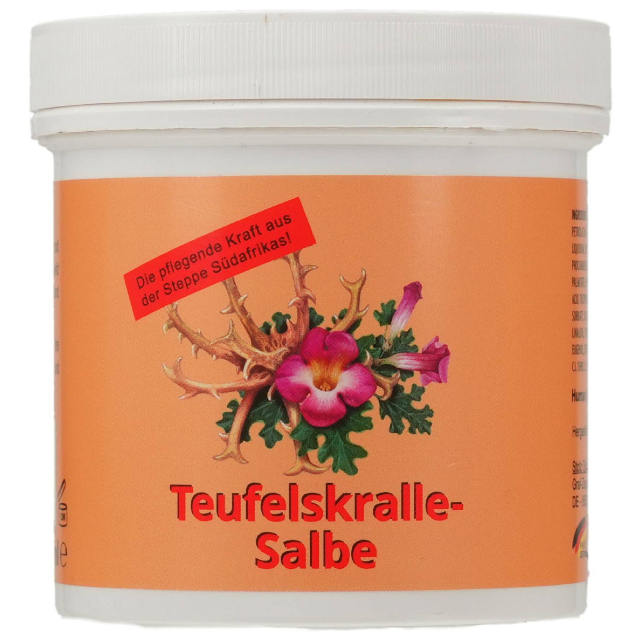 Axisis GmbH Hautcreme TEUFELSKRALLE SALBE 250ml PZN 13584333