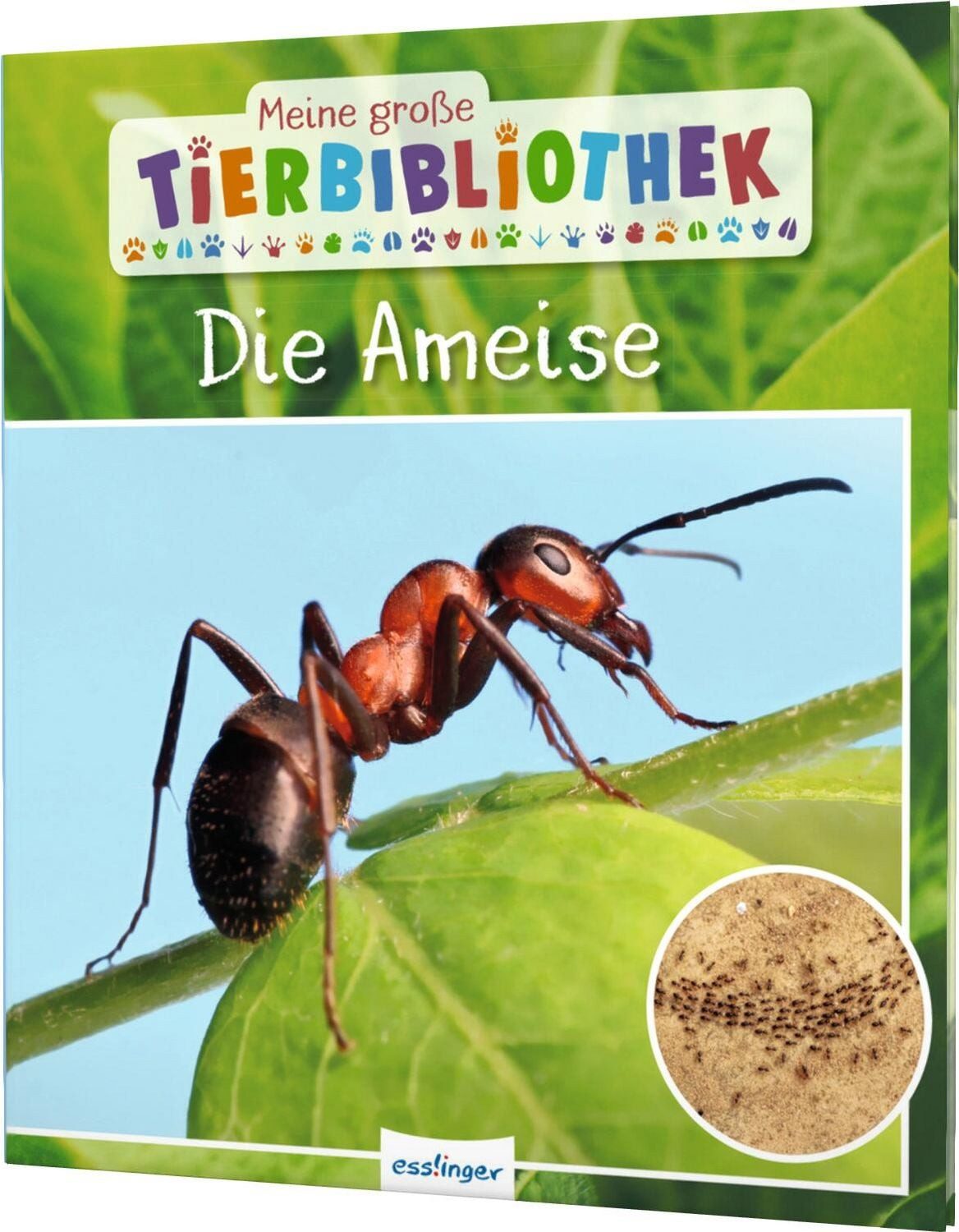 Meine große Tierbibliothek: Die Ameise / Axel Gutjahr