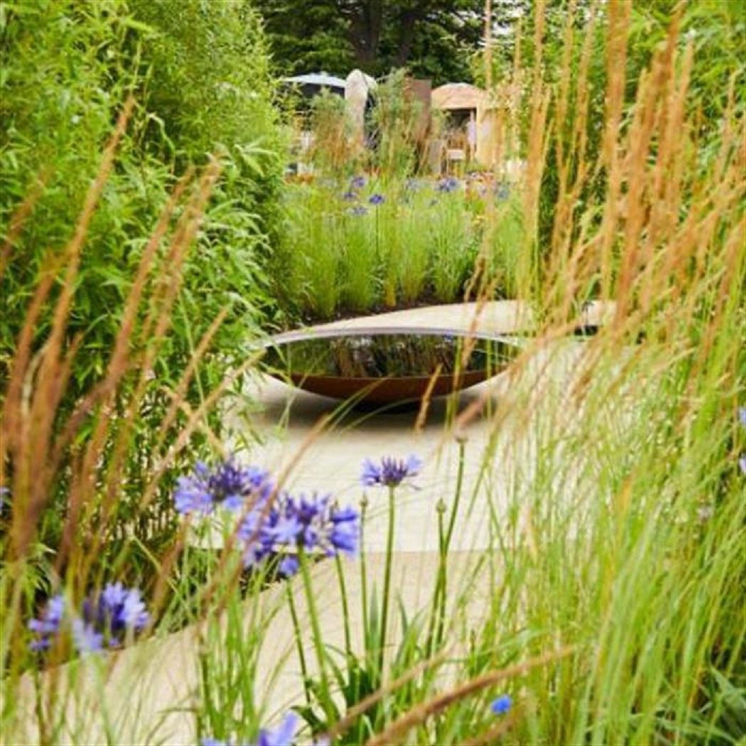 robustem aus (Einzelschale Wasserschale Verschlußstopfen), - Adezz Dekoschale Stahl Dekoschale mit