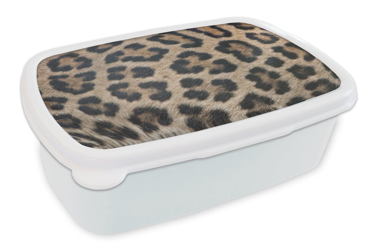 MuchoWow Lunchbox Leopardenmuster, Kunststoff, (2-tlg), Brotbox für Kinder und Erwachsene, Brotdose, für Jungs und Mädchen weiß