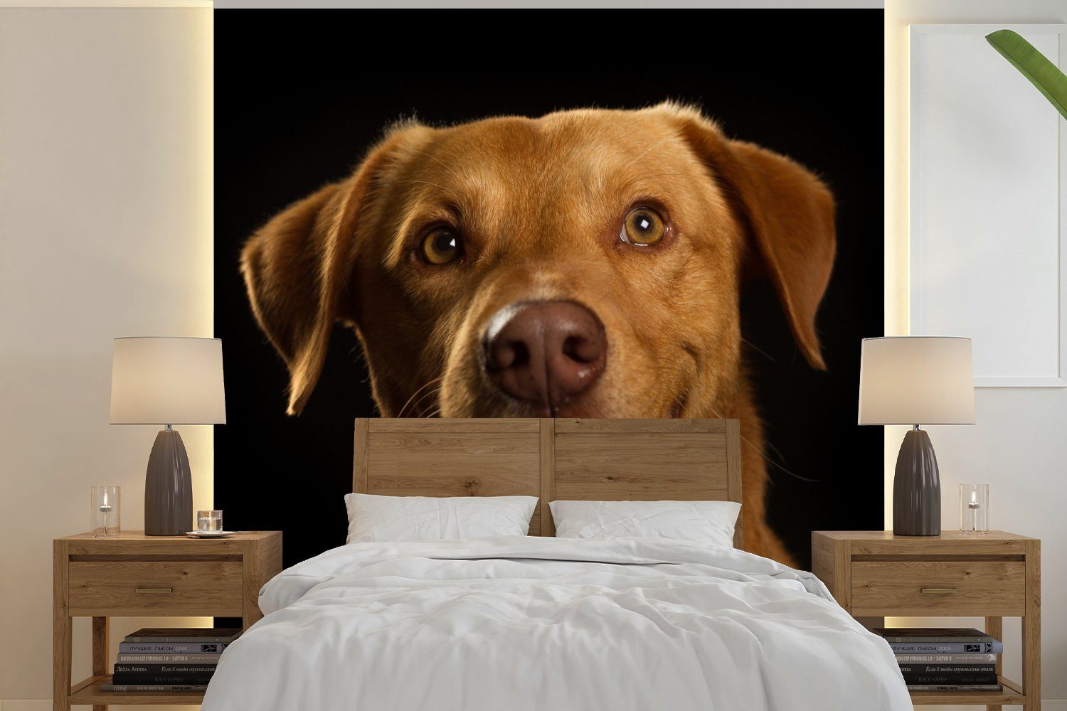 MuchoWow Fototapete Hund - Haustiere - Porträt, Matt, bedruckt, (4 St), Vliestapete für Wohnzimmer Schlafzimmer Küche, Fototapete