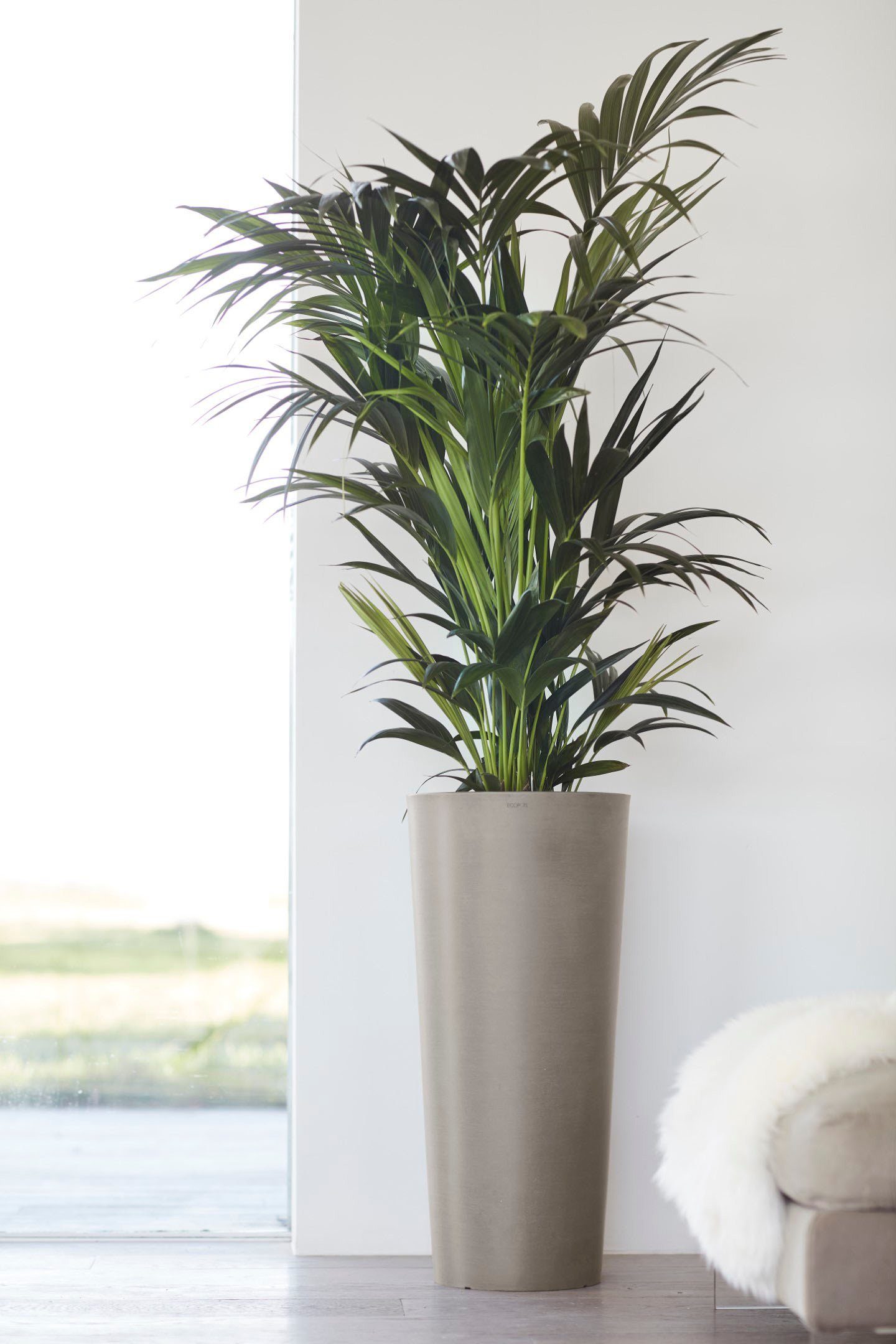 ECOPOTS Blumentopf Amsterdam, ØxH: 32x70 cm günstig online kaufen