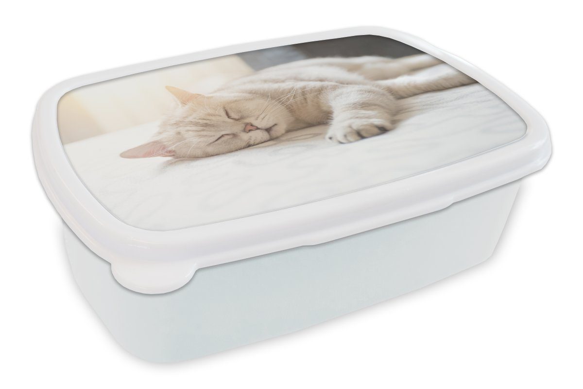 Bett, Katze weiß für Jungs auf dem schläft Mädchen für Erwachsene, Brotdose, Brotbox (2-tlg), Kunststoff, Lunchbox und Kinder und MuchoWow
