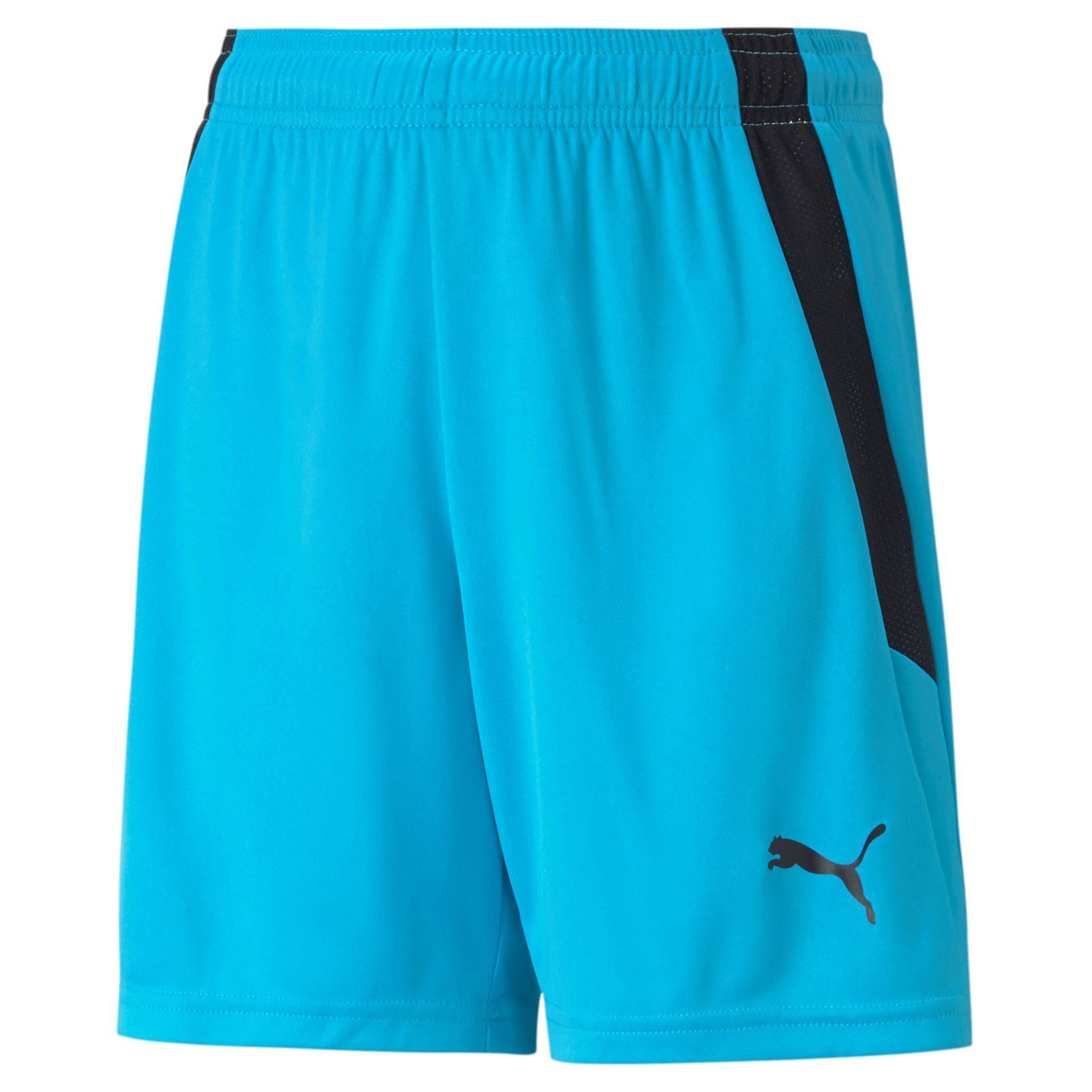 Trainingsshorts Puma Kinder Shorts teamLIGA Shorts Jr 704931