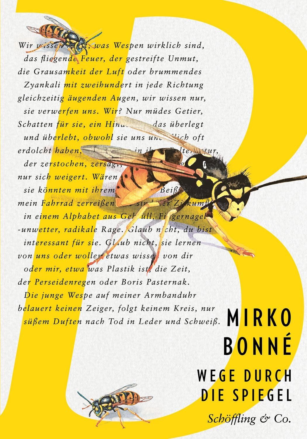 Wege durch die Spiegel / Mirko Bonne