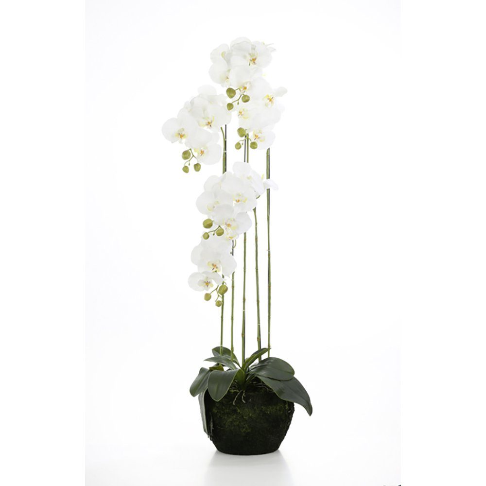 Kunstpflanze FINK Kunstblume Orchidee - weiß - H. 3,3cm x B. 28cm, Fink