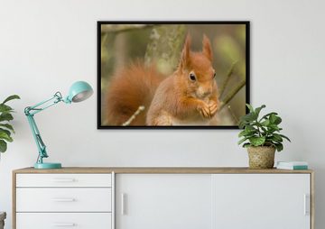 Pixxprint Leinwandbild Kleines Eichhörnchen, Wanddekoration (1 St), Leinwandbild fertig bespannt, in einem Schattenfugen-Bilderrahmen gefasst, inkl. Zackenaufhänger