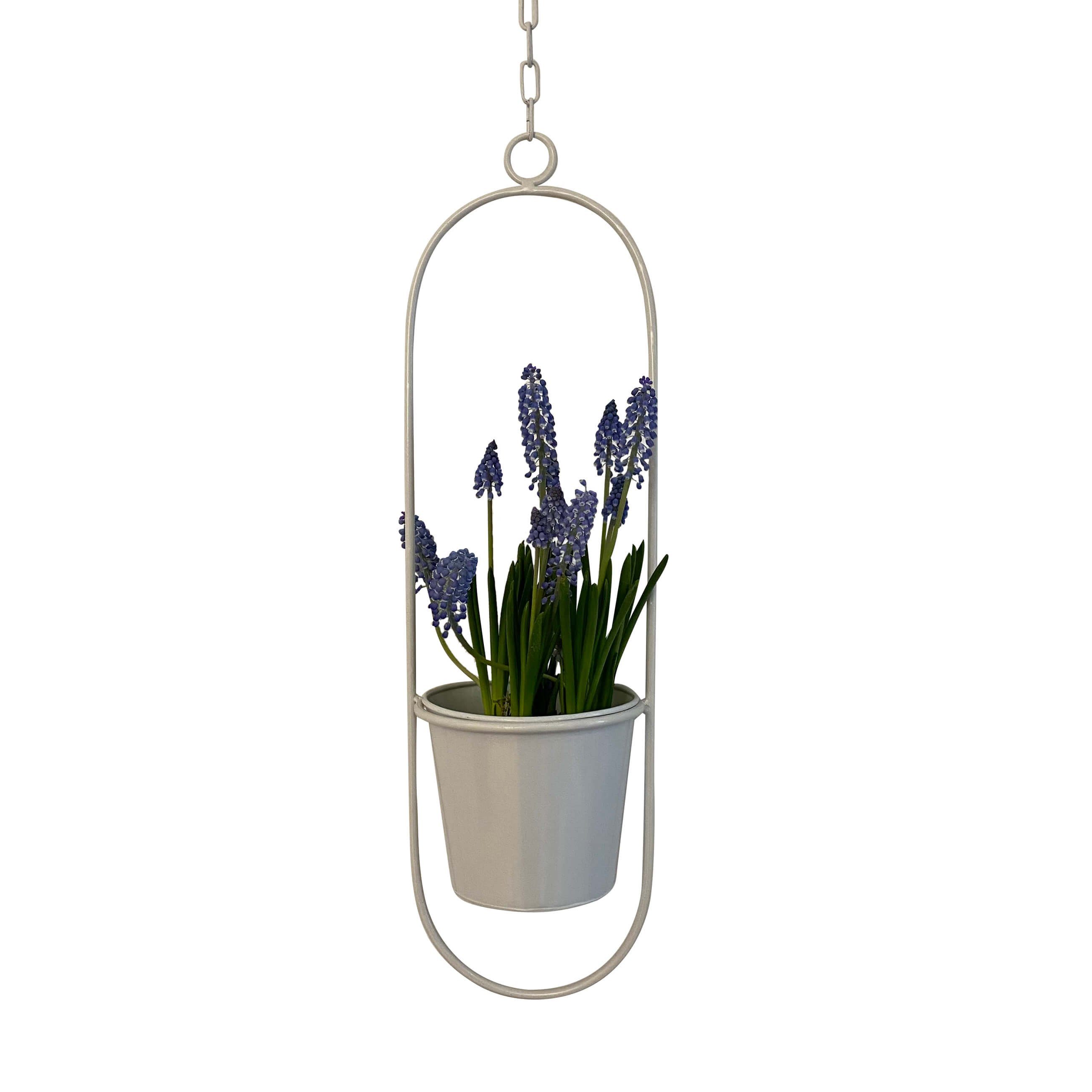 adorist Blumenampel (1 St), Dekoring mit günstig online kaufen