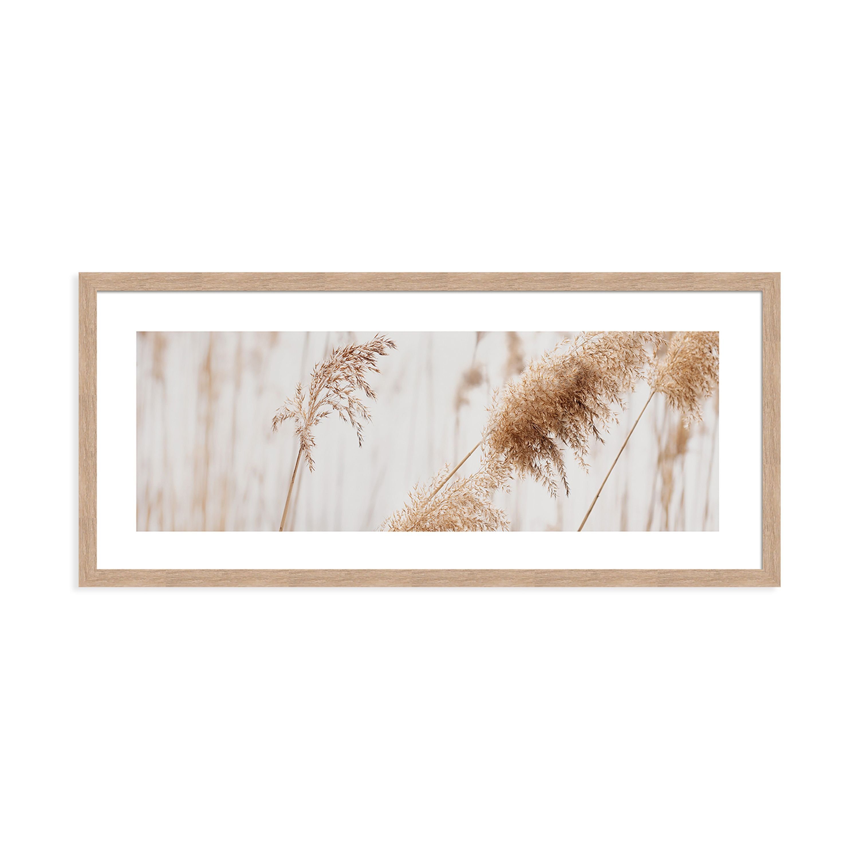 artissimo Bild mit Rahmen Gerahmtes Poster 70x30 cm / Wandbild modern / Wanddeko lang schmal, Natur und Gräser: Pampasgras in Beige Weiß