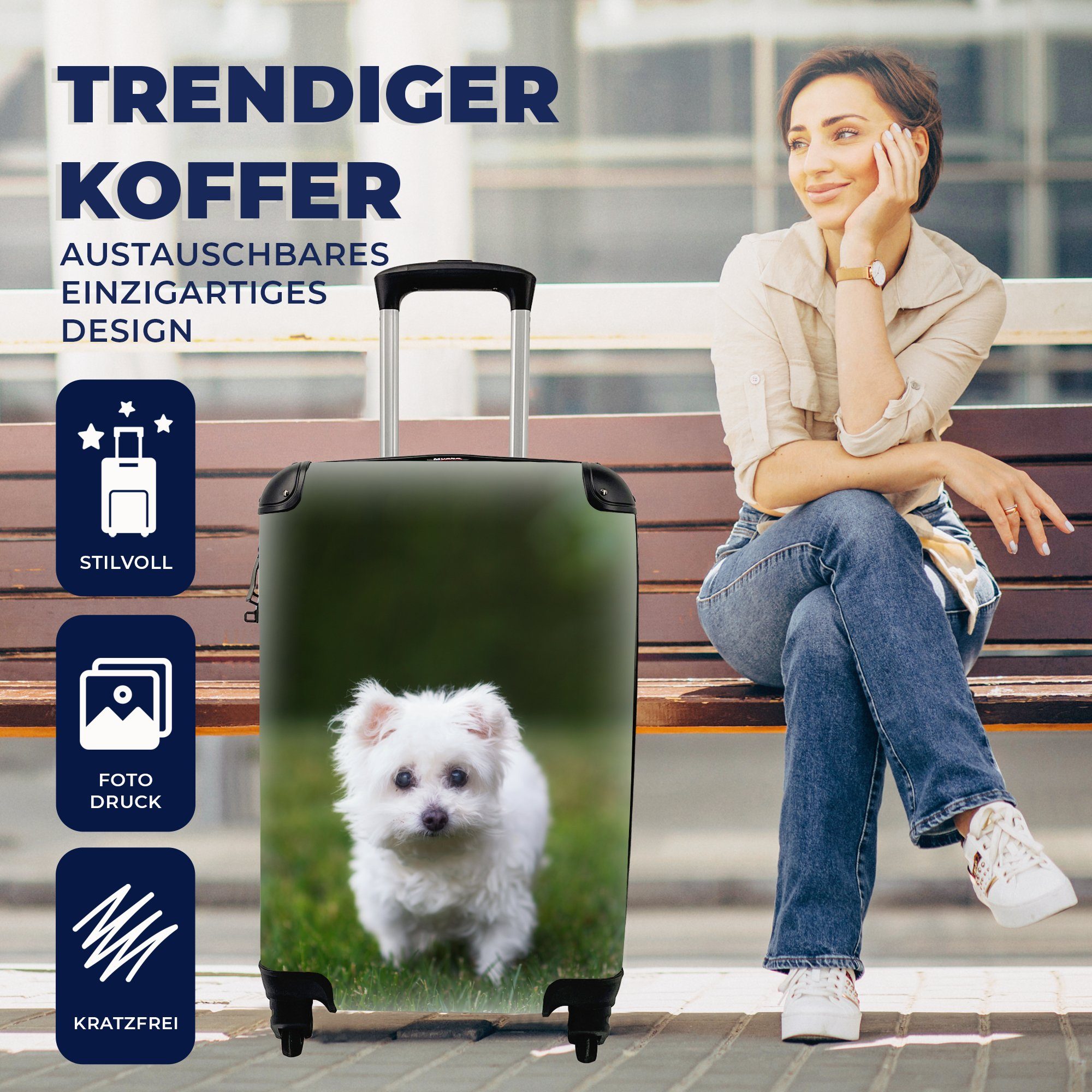 Hund MuchoWow Reisetasche Wiese, 4 Ferien, Reisekoffer mit Handgepäck rollen, Handgepäckkoffer Rollen, für auf einer Malteser Trolley,