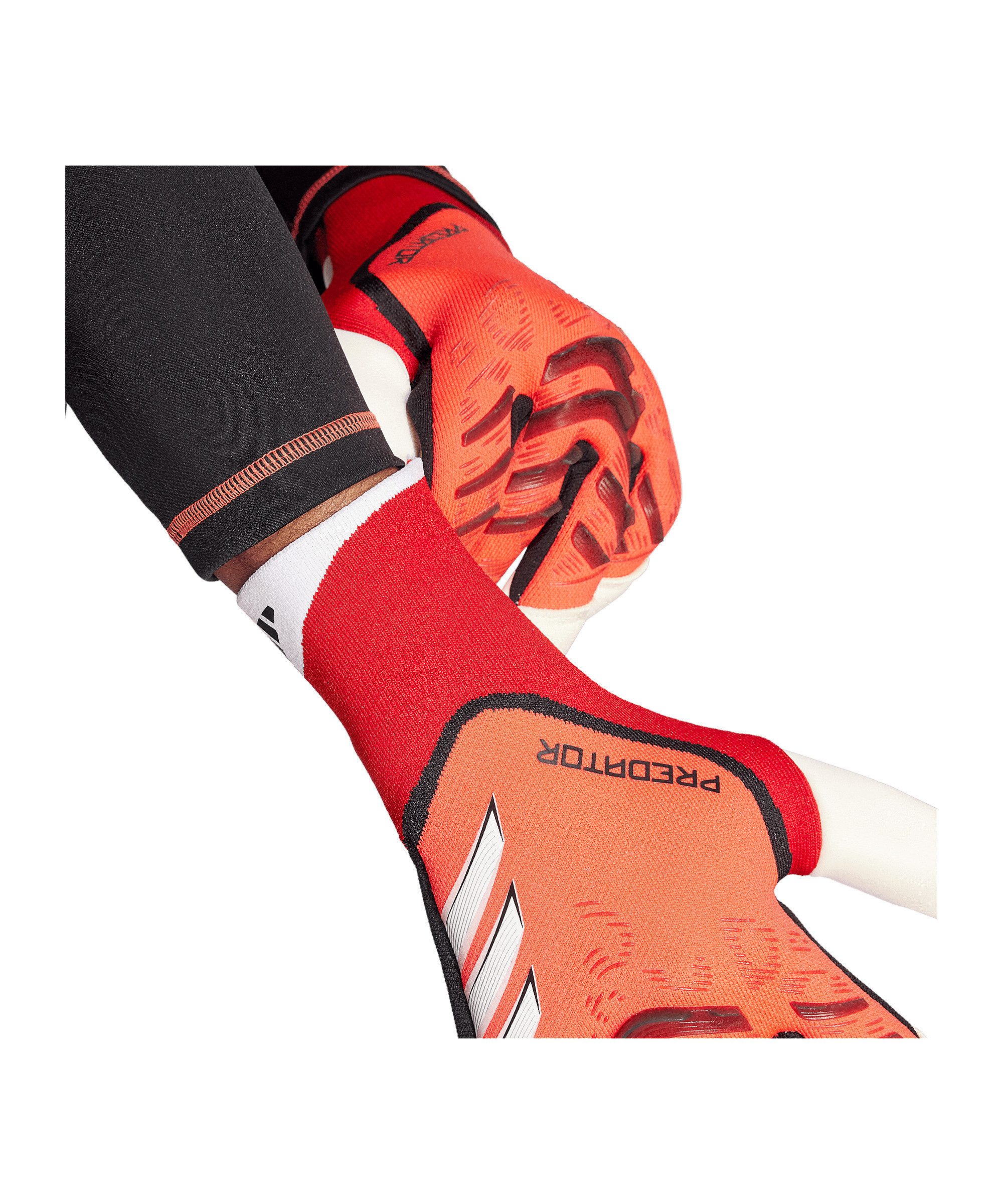 adidas Performance Torwarthandschuhe adidas Performance günstig online kaufen