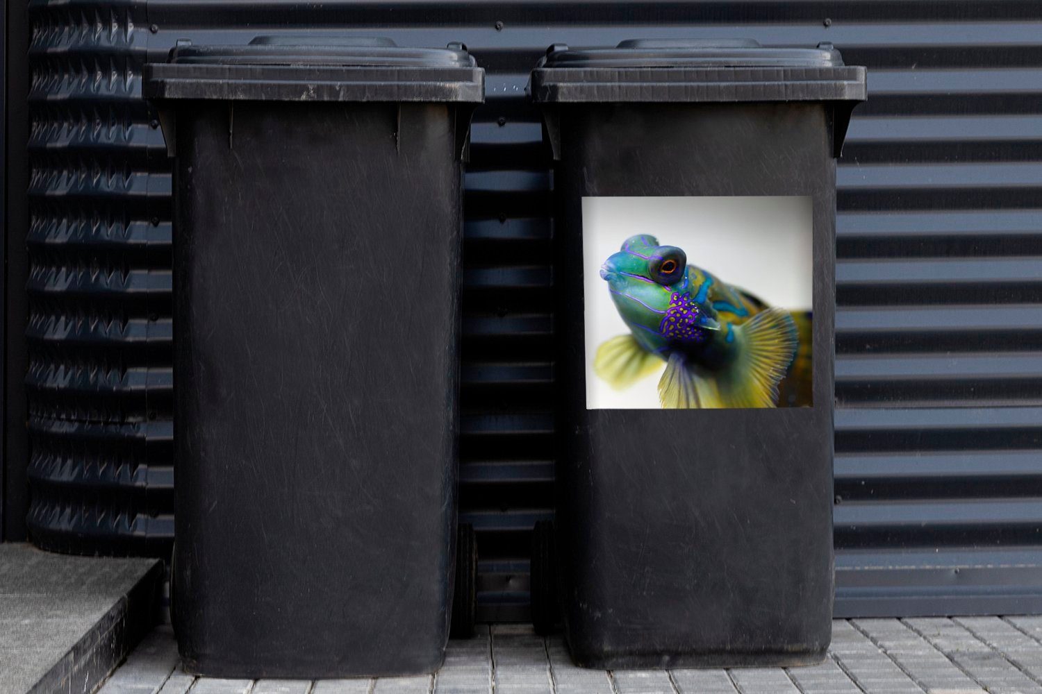 St), MuchoWow Sticker, - Mandarin-Zahnfisch Container, (1 Blau Wandsticker - Fisch Mülltonne, Abfalbehälter Mülleimer-aufkleber,