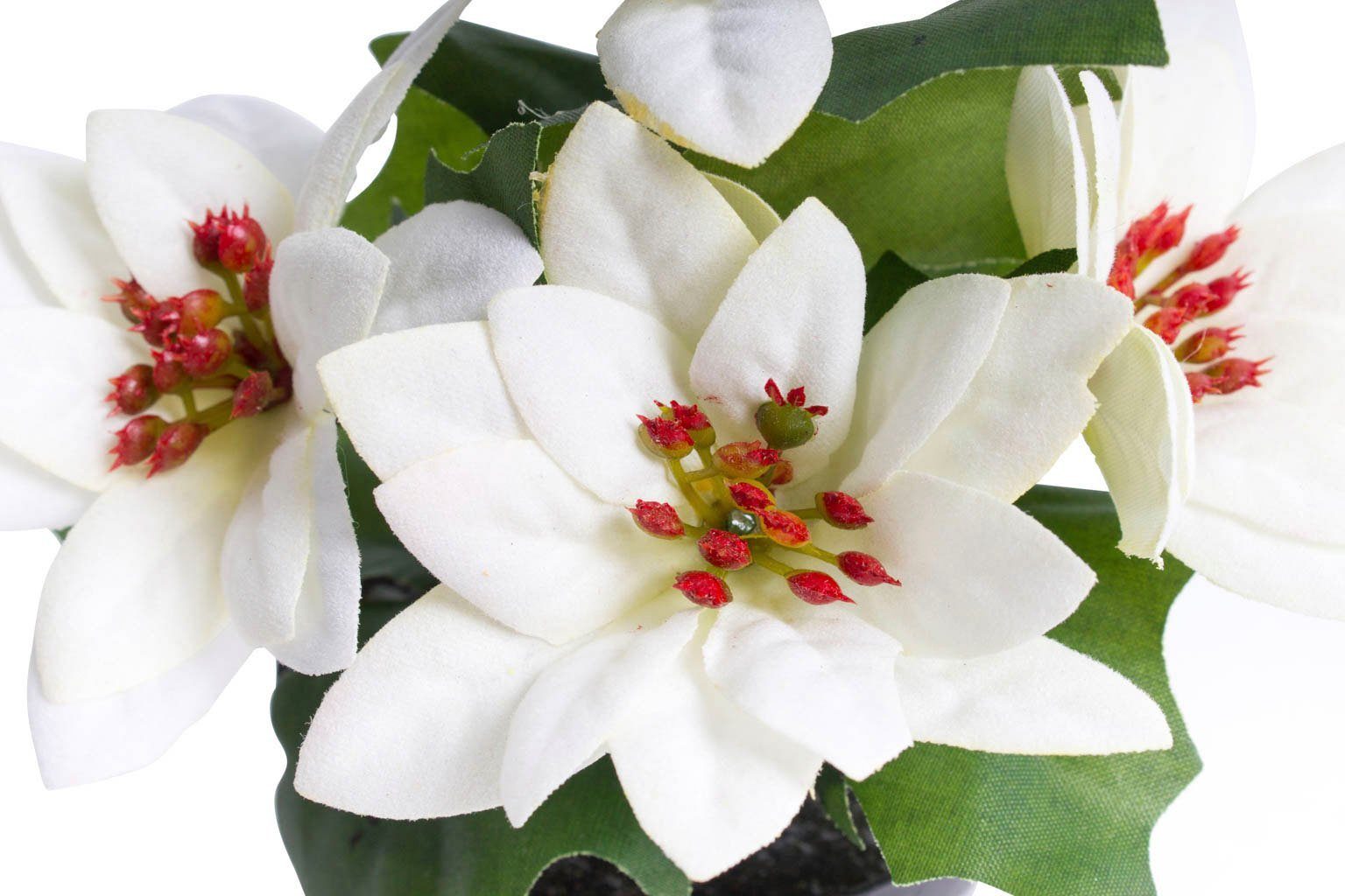 Künstliche Zimmerpflanze Mini-Poinsettie im 14 cm Botanic-Haus, Kunststofftopf, Höhe