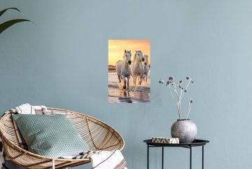 MuchoWow Wandsticker Pferde - Sonne - Meer - Strand - Tiere (1 St), Sticker für die Babyzimmer und Kinderzimmer, Wasserabweisend