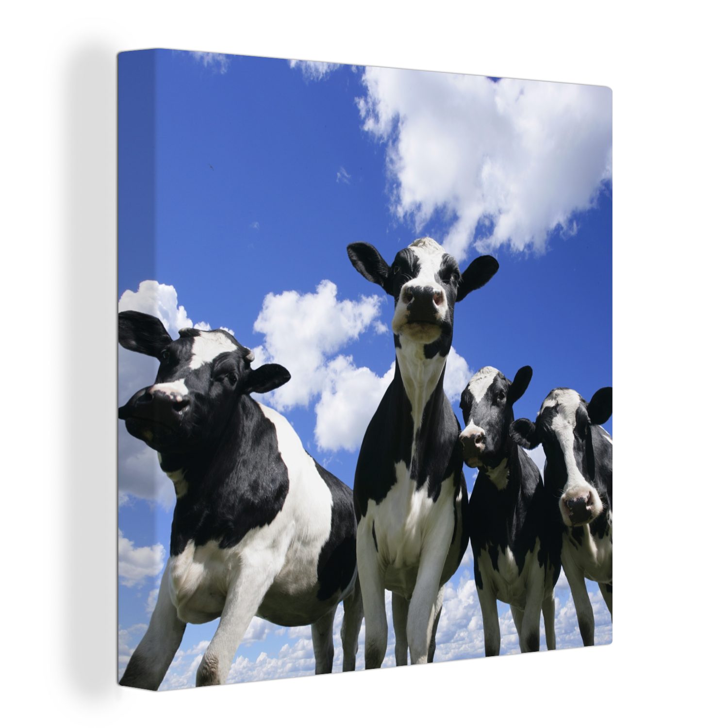 OneMillionCanvasses® Leinwandbild Kuh - Luft - Tiere, (1 St), Leinwand Bilder für Wohnzimmer Schlafzimmer bunt