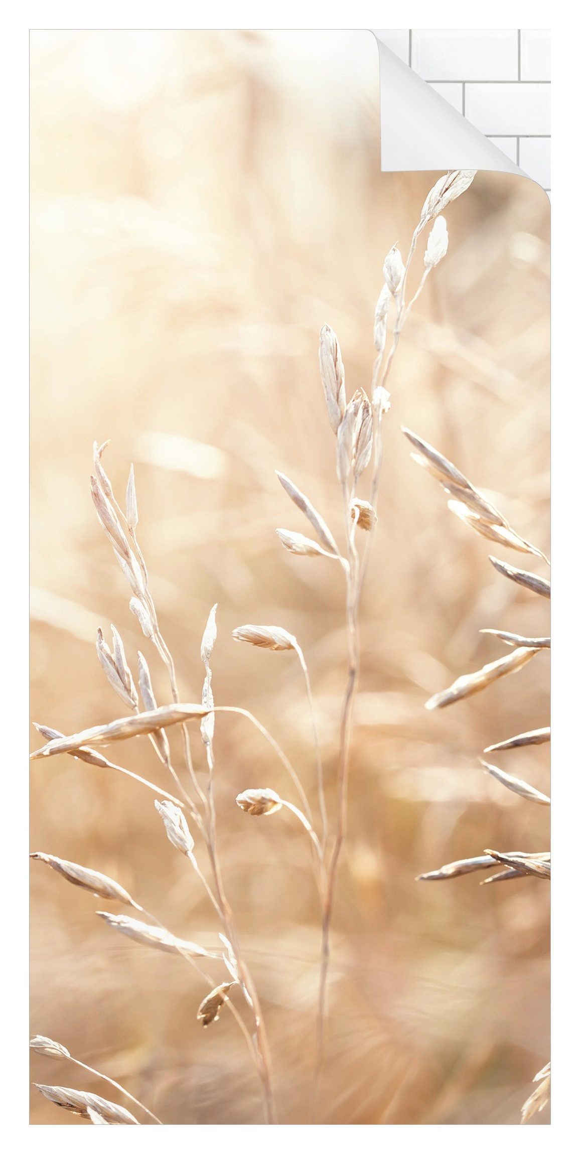 Bilderdepot24 Duschrückwand Gräser beige Duschrückwand ohne Bohren Tropisch Landhaus, (1-tlg., 0,61 mm starke Folie selbstklebend Wandpaneele Dusche versch. Größen), fugenlose & wasserfeste Motiv Rückwand Wandverkleidung für Duschkabine