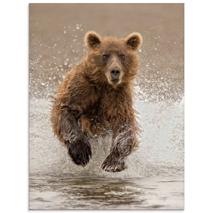 Artland Glasbild Bären beim Spielen II Wildtiere (1 St) in verschiedenen Größen