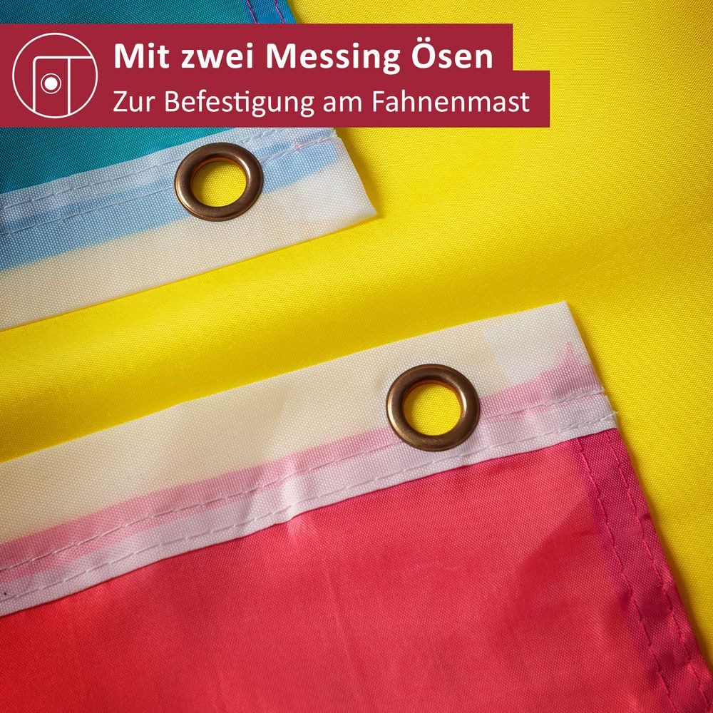 PHENO FLAGS Flagge Pansexual Pride Flagge LGBT PAN 90 x 150 cm Pansexuelle Fahne (Hissflagge für Fahnenmast), Inkl. 2 Messing Ösen