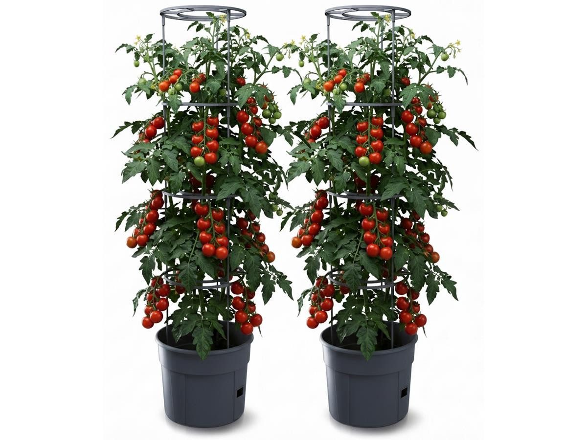 Prosperplast Anzuchttopf 2x für Tomaten/ Gemüse 39,2 cm (2er-Set), Bewässerungssystem, Rankhilfe,Eingießhilfe